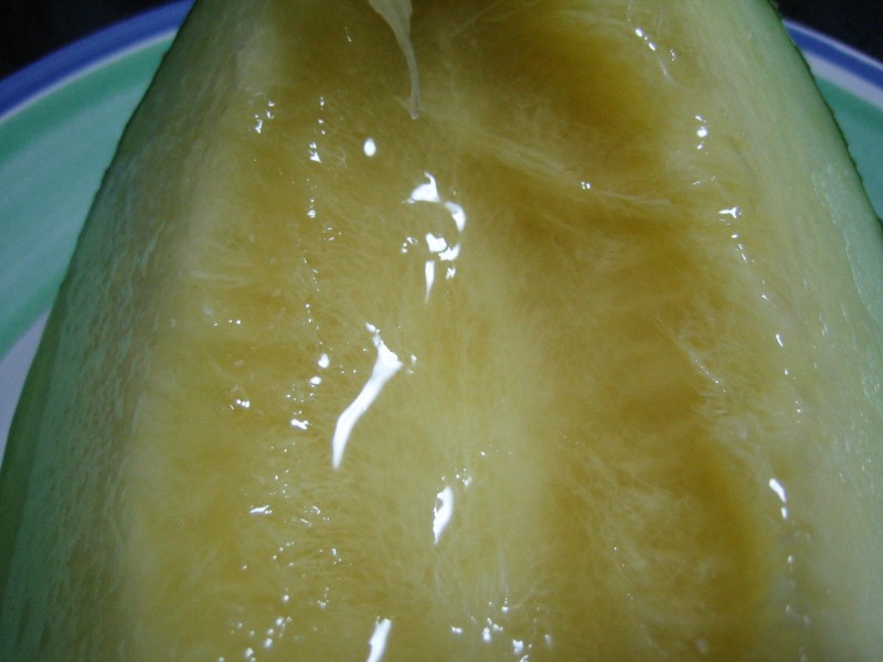melon01.jpg