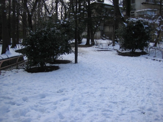 snow_06.jpg