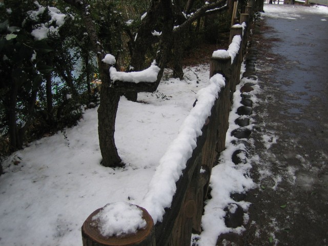 snow_14.jpg