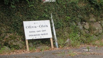Oliva-Olea01.jpg