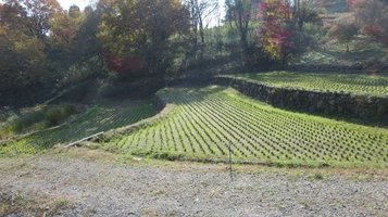 agripark11.jpg