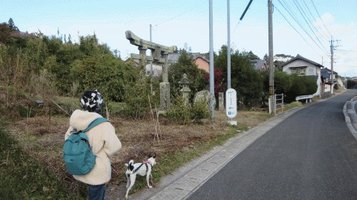asahi_gionyama3.jpg