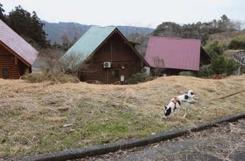 baien_sato5.jpg