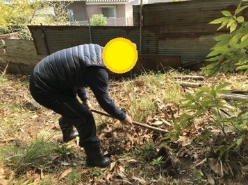 bamboo15.jpg