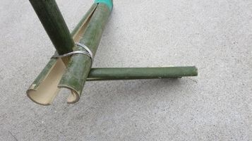 broken_bamboo3.jpg