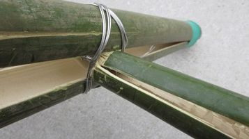 broken_bamboo5.jpg