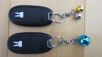 car_key5.jpg