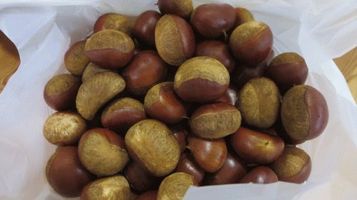 chestnut0.jpg