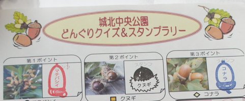 どんぐりクイズラリーとｊａ東京あおば桜台支店 Satoshiブログ