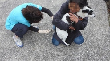dog_vaccine0.jpg