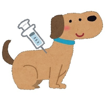dog_vaccine1.jpg