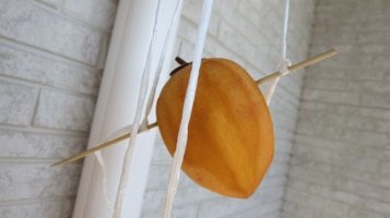 dry_persimmon11.jpg