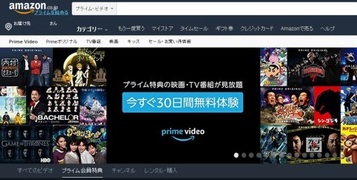 fire_stick19.jpg