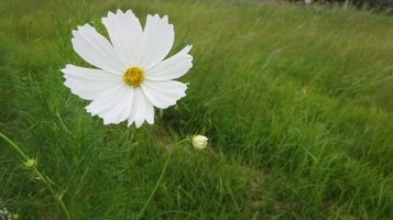 garden0921f.jpg
