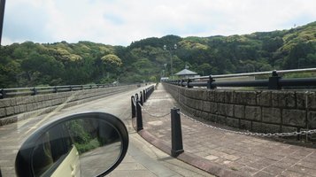 gyonyu_carp2022d.jpg