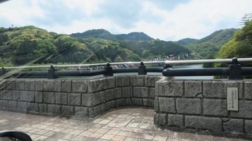 gyonyu_carp2022e.jpg