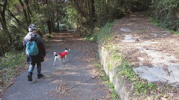 hoonji_gakuniwa4.jpg