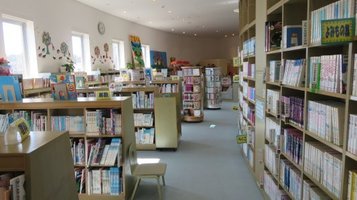 library5.jpg