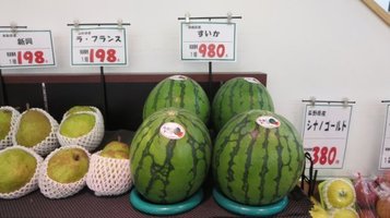 nakijin.jpg