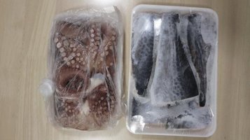 octopus1.jpg