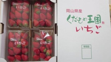 okayama_strawberry1.jpg
