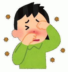 pollinosis.jpg