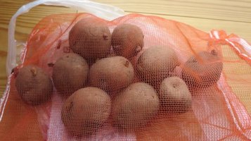 potato4.jpg