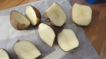 potato9.jpg