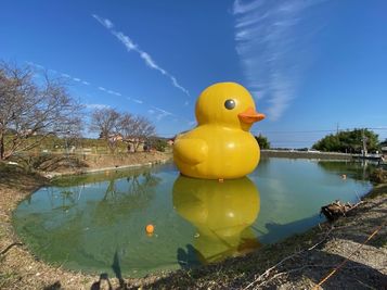rubber_duck4.jpg