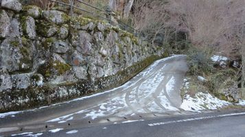 rurikoji5.jpg