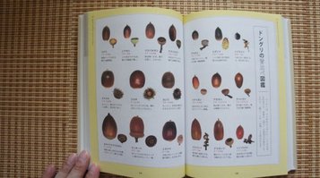 seed_book3.jpg