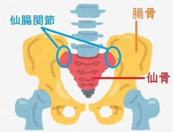 sentyo2.jpg