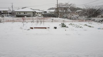 snow20201231a.jpg