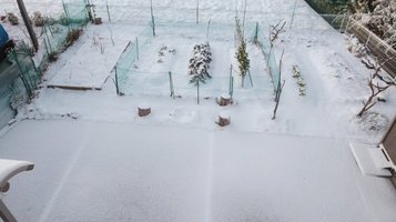 snow20250110a.jpg
