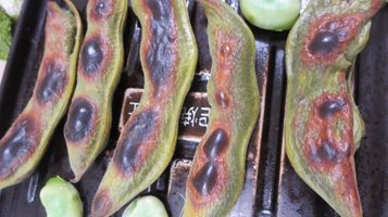 soramame7.jpg