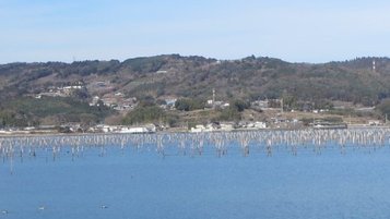 sumiyosi_walk21.jpg
