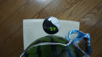 w_melon0624b.bmp