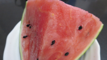w_melon0624c.bmp