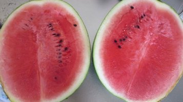 w_melon0731q.jpg