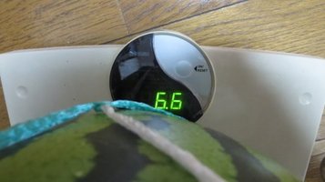 w_melon0811b.jpg