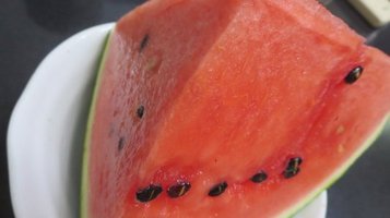 w_melon0811d.jpg