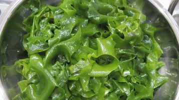 wakame10.jpg